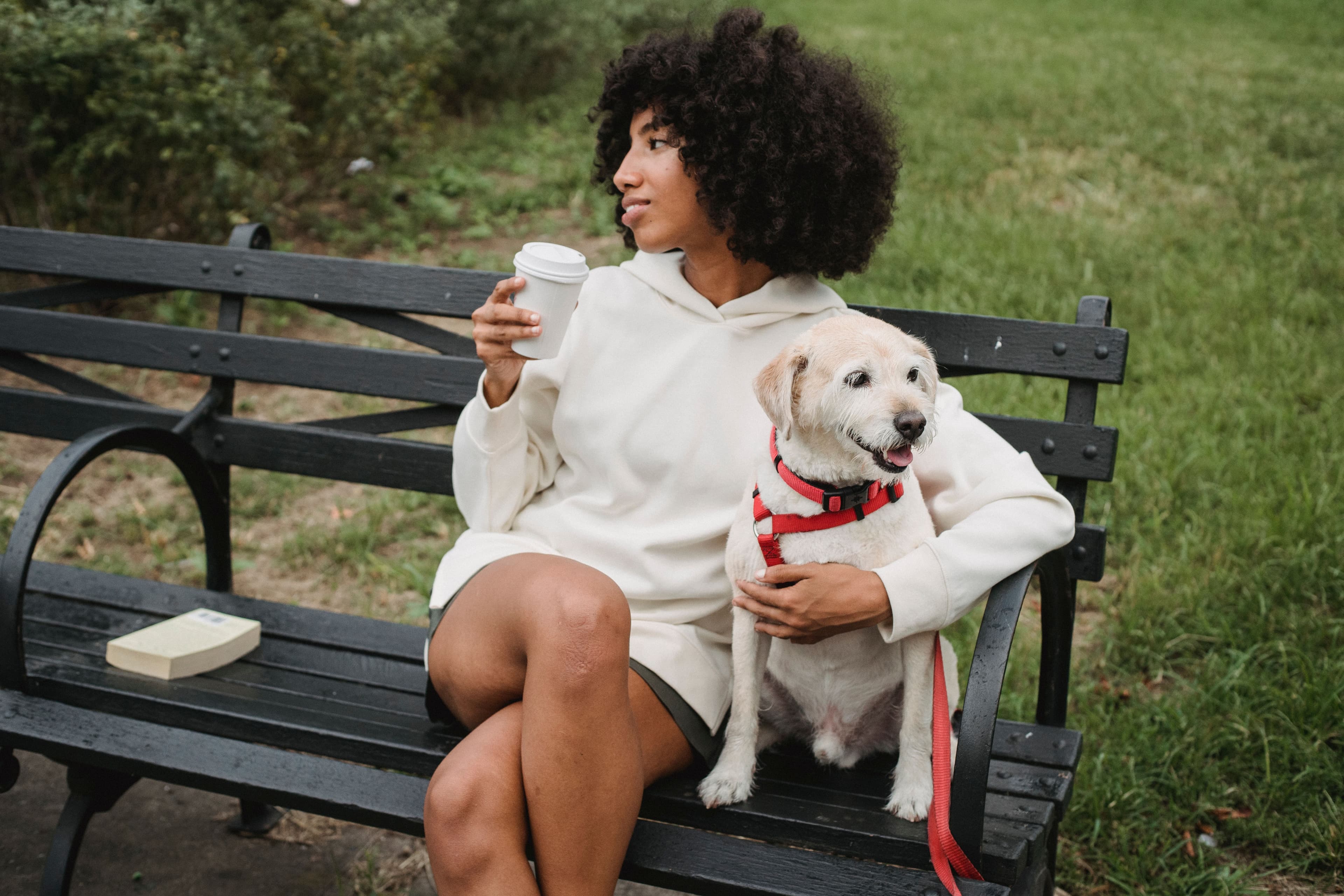 A past social hour — the community gathered with dogs at their feet