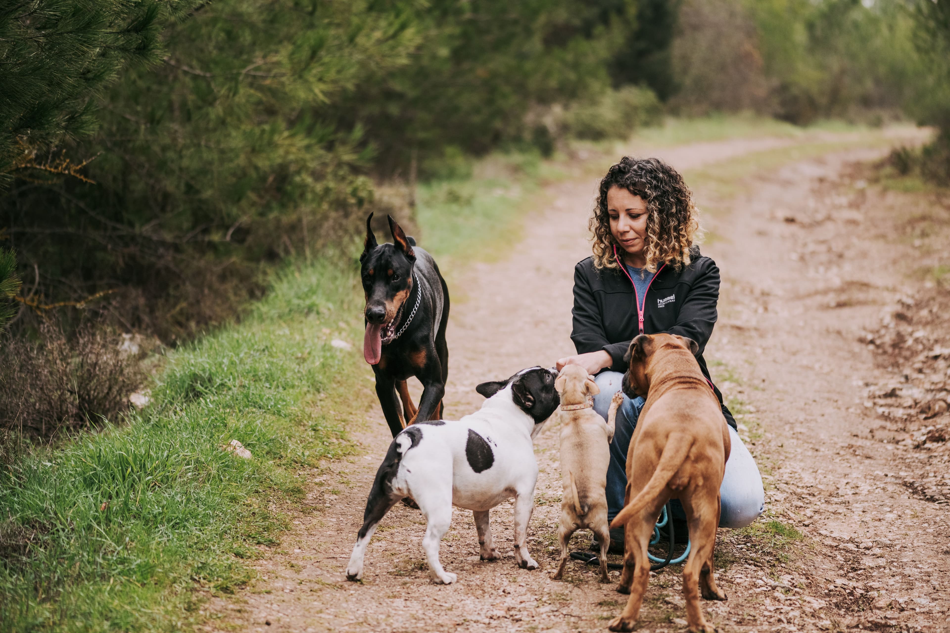 A Haus Dogs provider with a client dog